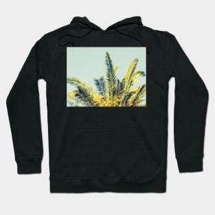 Palm Hoodie